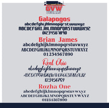 Load image into Gallery viewer, $99.99 USDOT Number Sticker Decal Lettering (Set of 2)